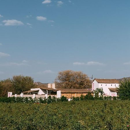 The Luxe Pushkar - A Luxury Farmstay In Pushkar Buitenkant foto
