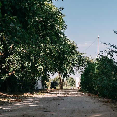 The Luxe Pushkar - A Luxury Farmstay In Pushkar Buitenkant foto