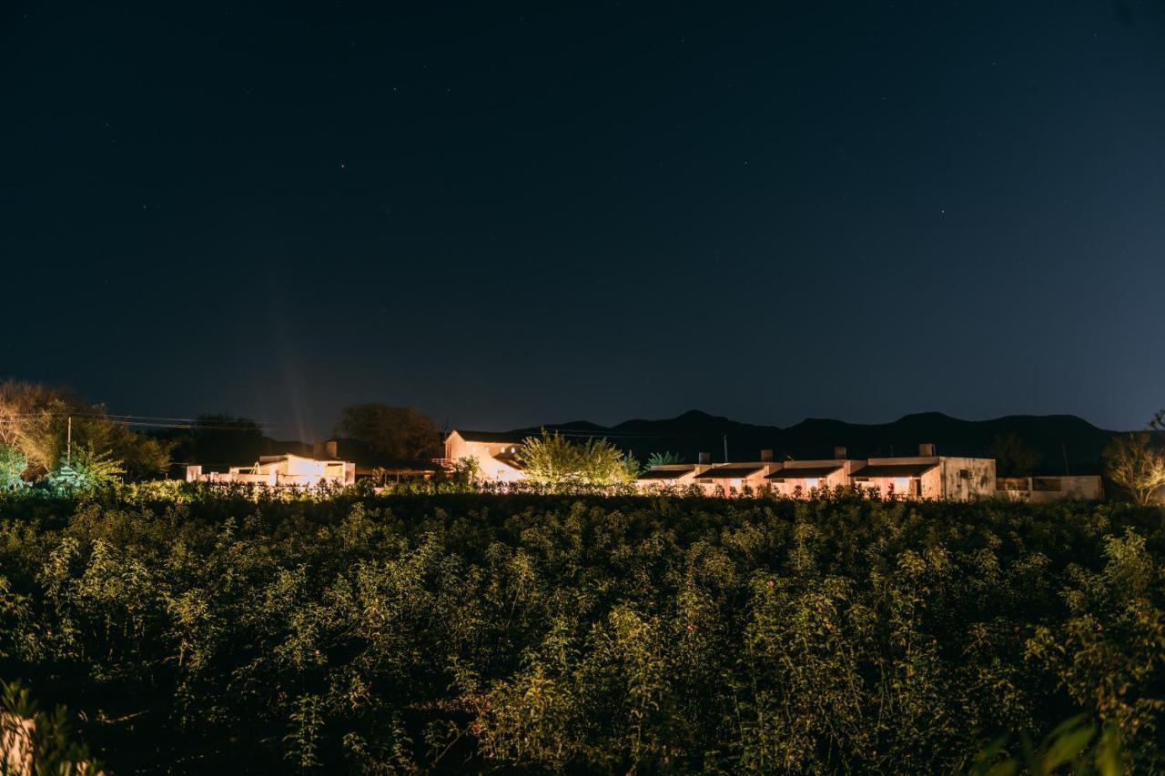 The Luxe Pushkar - A Luxury Farmstay In Pushkar Buitenkant foto