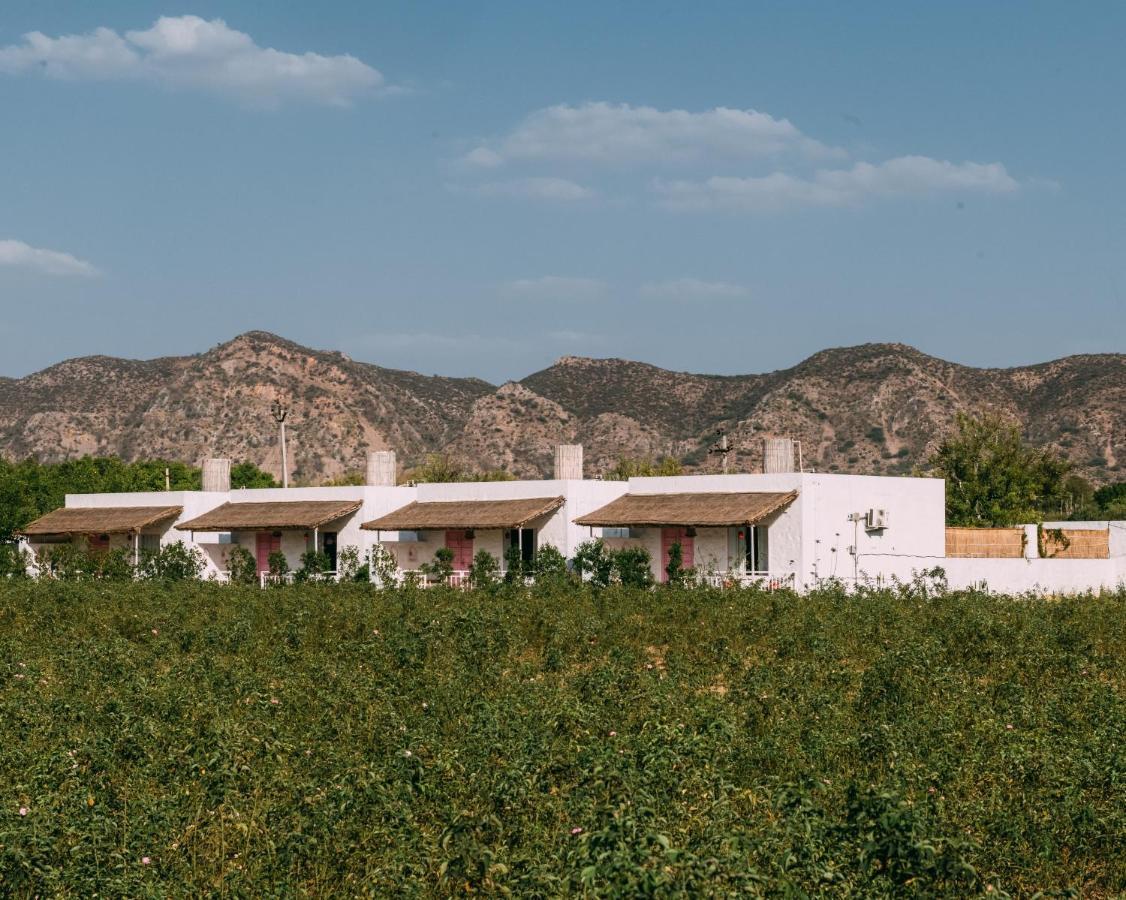 The Luxe Pushkar - A Luxury Farmstay In Pushkar Buitenkant foto