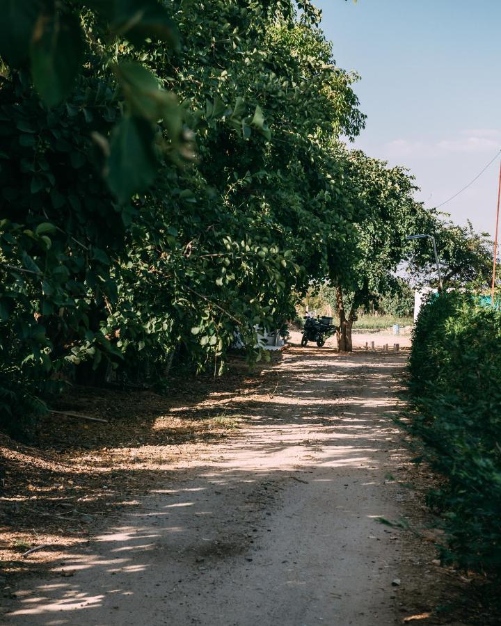 The Luxe Pushkar - A Luxury Farmstay In Pushkar Buitenkant foto