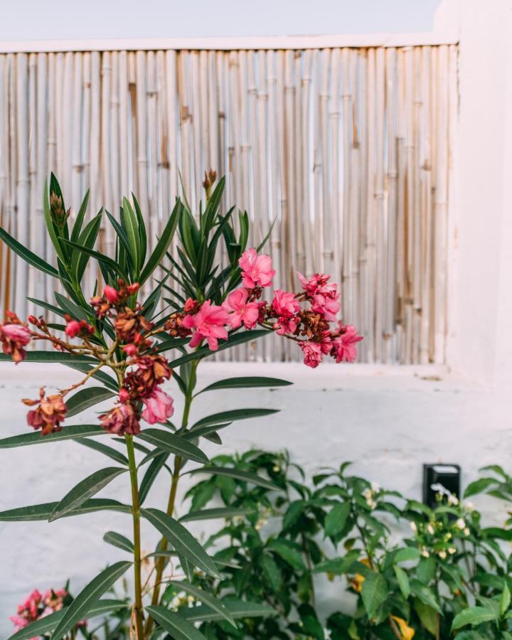 The Luxe Pushkar - A Luxury Farmstay In Pushkar Buitenkant foto