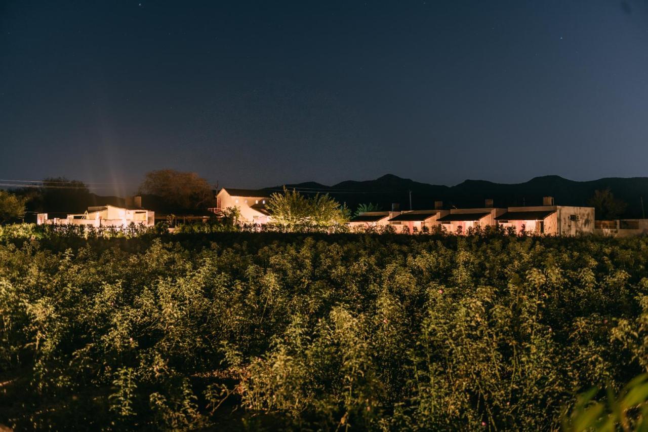 The Luxe Pushkar - A Luxury Farmstay In Pushkar Buitenkant foto