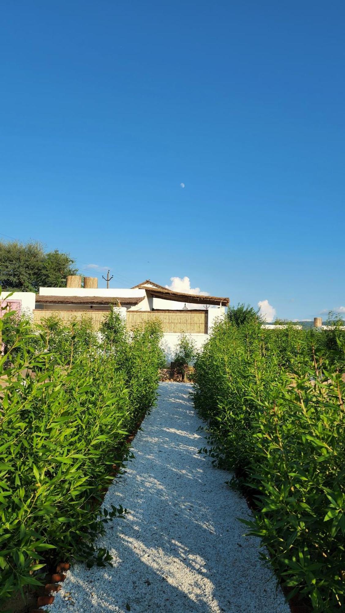 The Luxe Pushkar - A Luxury Farmstay In Pushkar Buitenkant foto