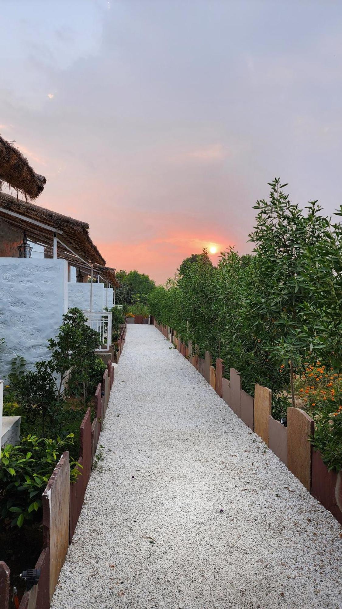 The Luxe Pushkar - A Luxury Farmstay In Pushkar Buitenkant foto