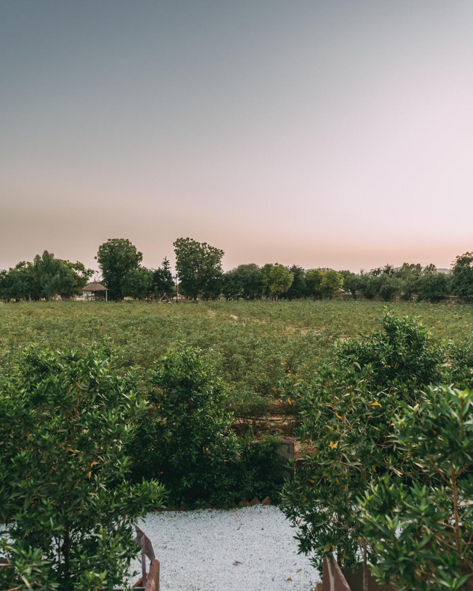 The Luxe Pushkar - A Luxury Farmstay In Pushkar Buitenkant foto