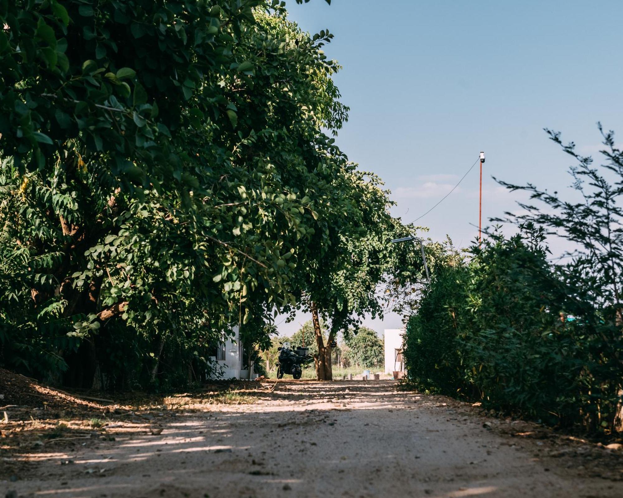 The Luxe Pushkar - A Luxury Farmstay In Pushkar Buitenkant foto