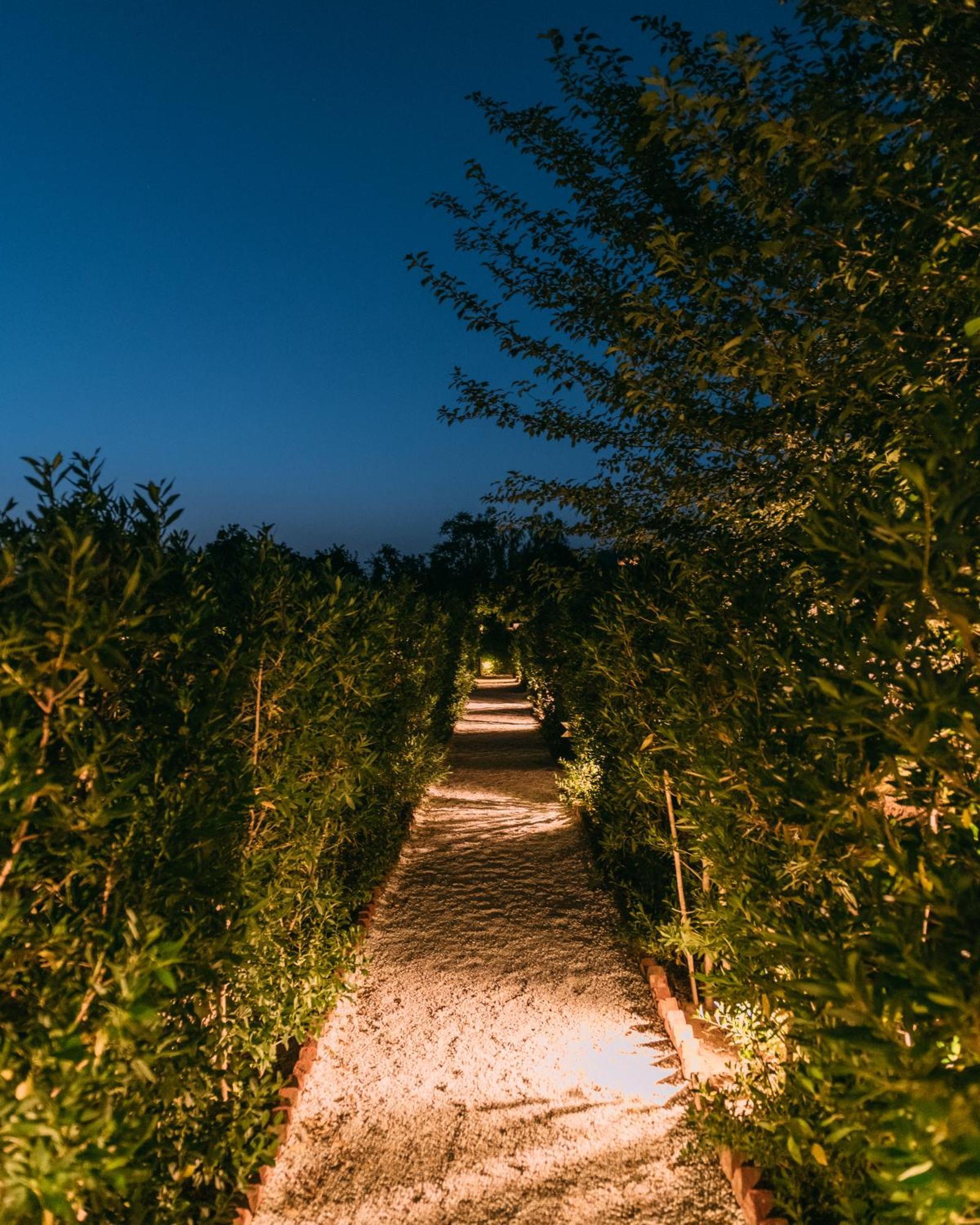 The Luxe Pushkar - A Luxury Farmstay In Pushkar Buitenkant foto